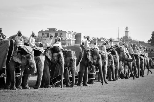 ID D17 2392 – India-festival de Jaipur