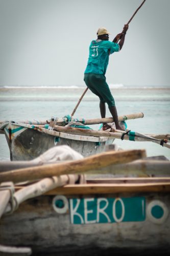 ID D17 2425 – Zanzibar-le  pécheur