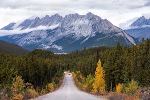 ID D17 2500 – Jasper National Park